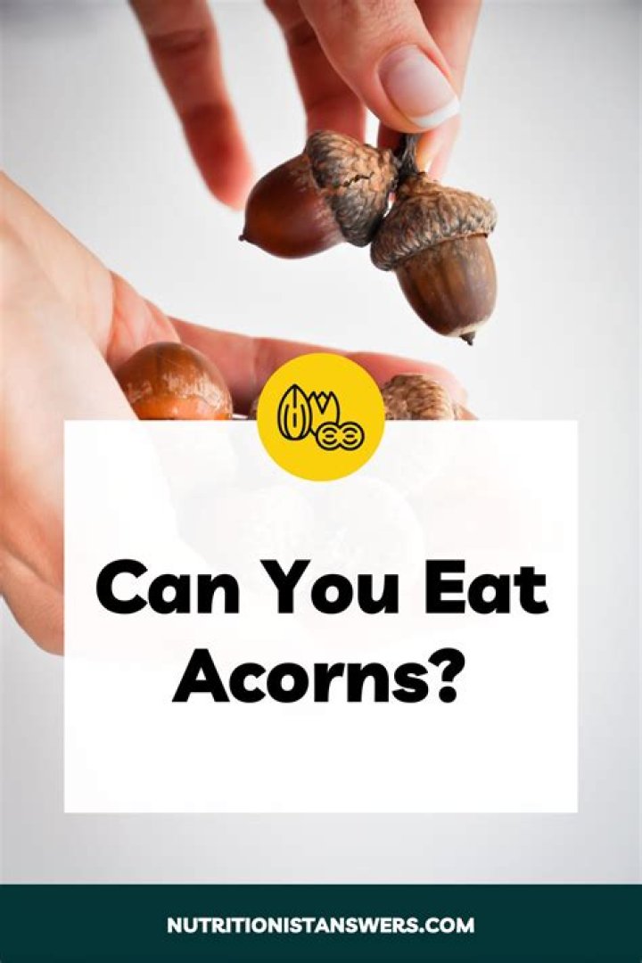Are acorns poisonous to eat