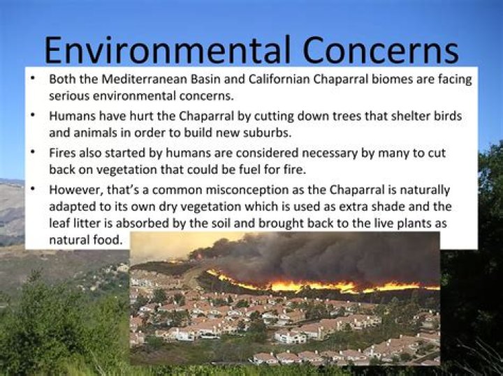 Are chaparral fires beneficial