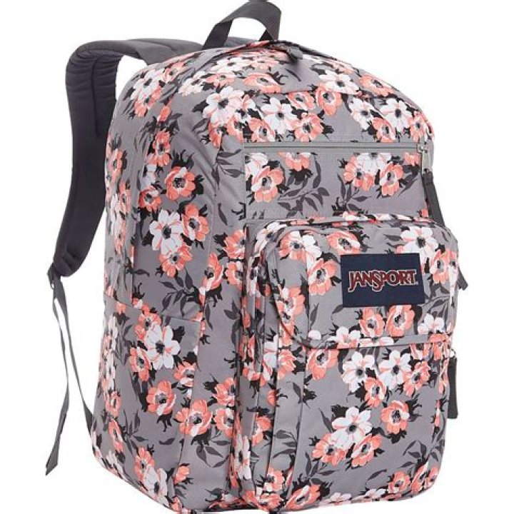 Are Jansport backpacks big enough for high school