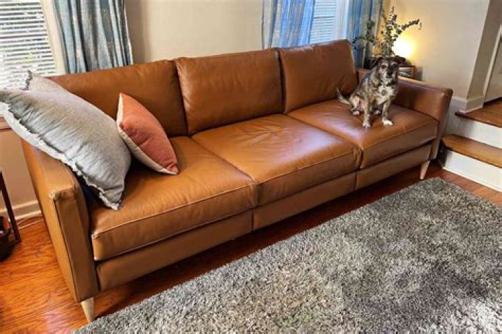 Are leather sofas good with cats