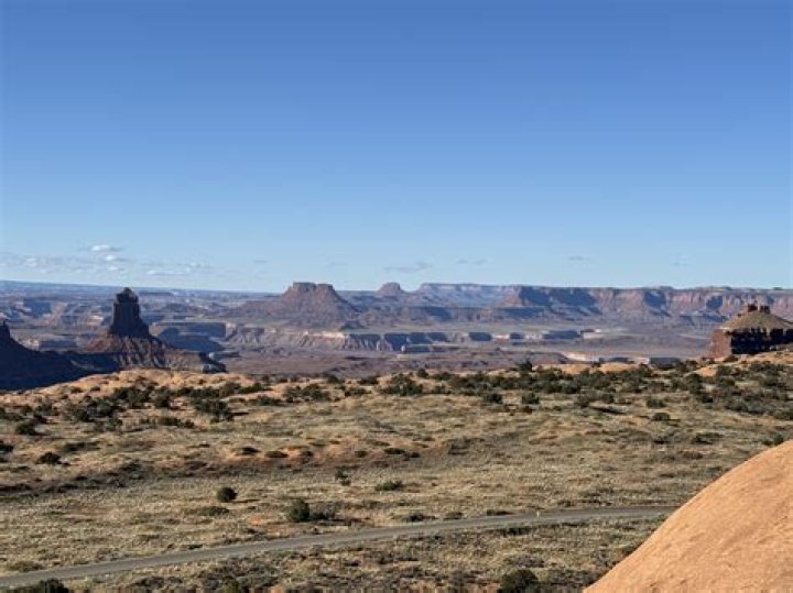 Are there whales in Utah