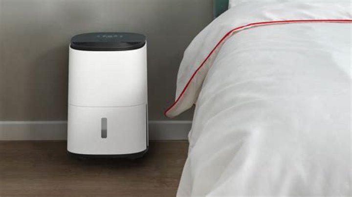 Can a dehumidifier help with a cough