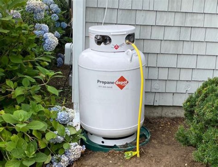 Can a gas frigde be run on propane?