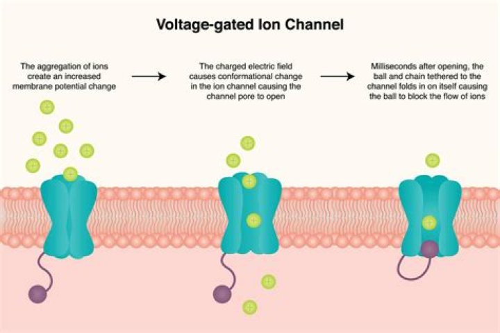 Can a low voltage problem cause an electrical outlet to fail?