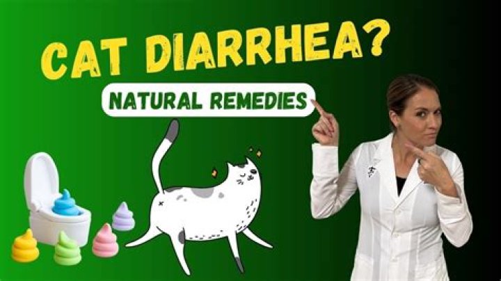 Can eating grass give cats diarrhea