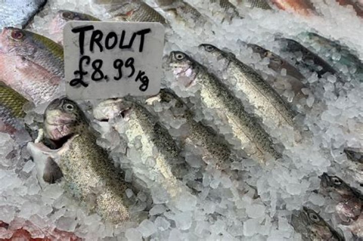 Can I Eat Fish With Freezer Burn