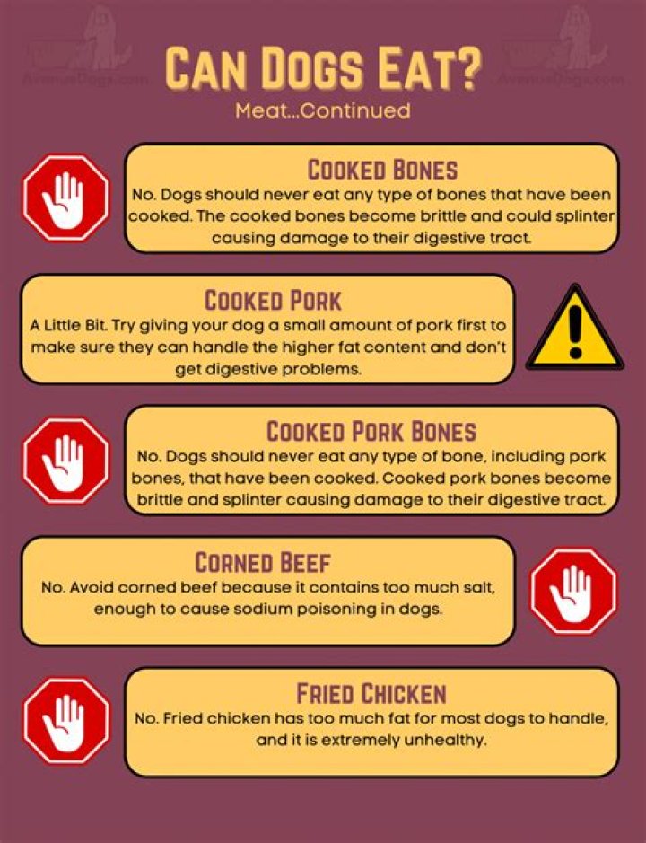 Can I Feed My Dog Cooked Steak Bones