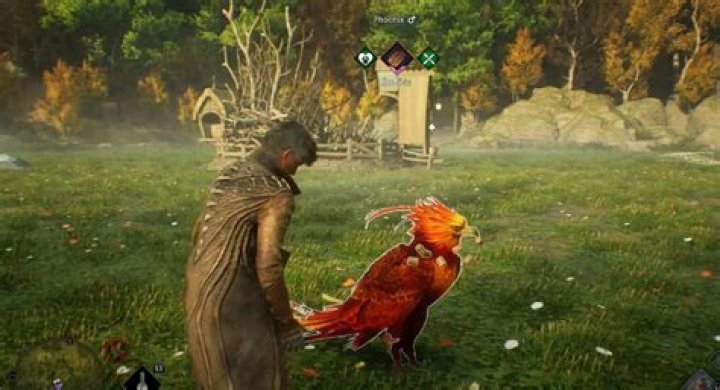 Can I get a Woot Woot meaning