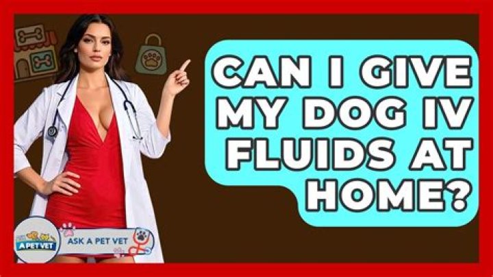 Can I give my dog IV fluids at home