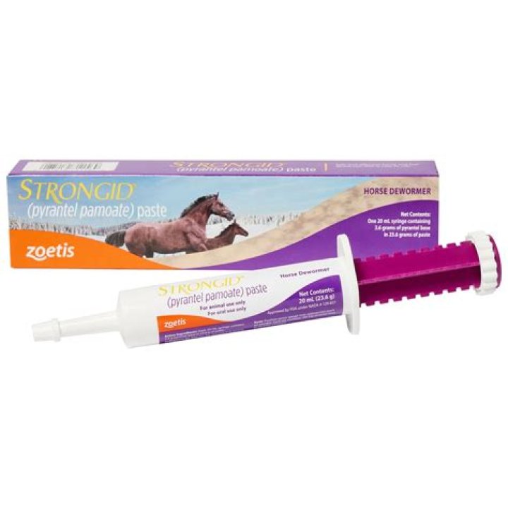 Can I Give Strongid Paste To My Dog
