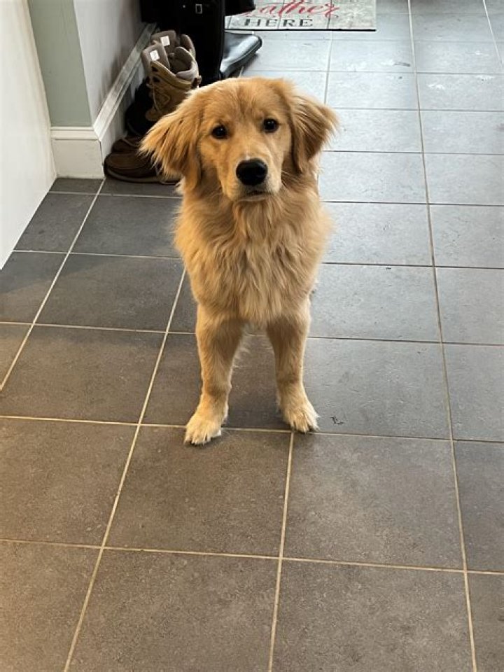 Can we switch on AC after 6 months?