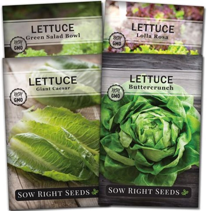 Can you eat lettuce that has gone to seed