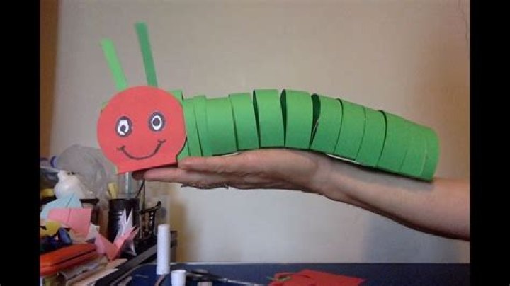 Can you keep a caterpillar as a pet