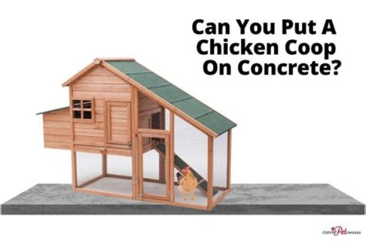Can you put a chicken coop on concrete