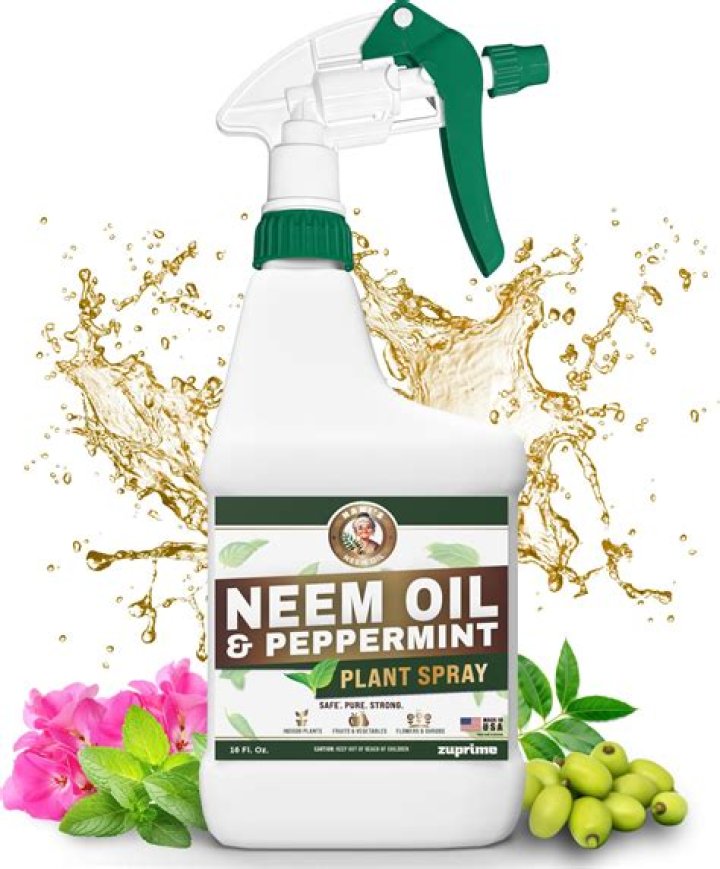 Can you spray neem oil on soil