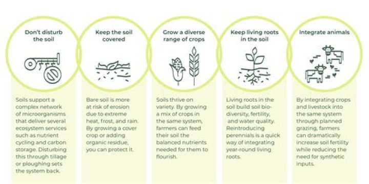 Can you till weeds into soil