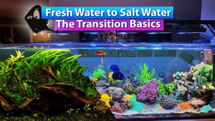 Can you travel with your freshwater tank full?