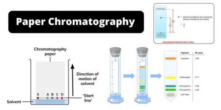 Chromatography definition - How To Discuss