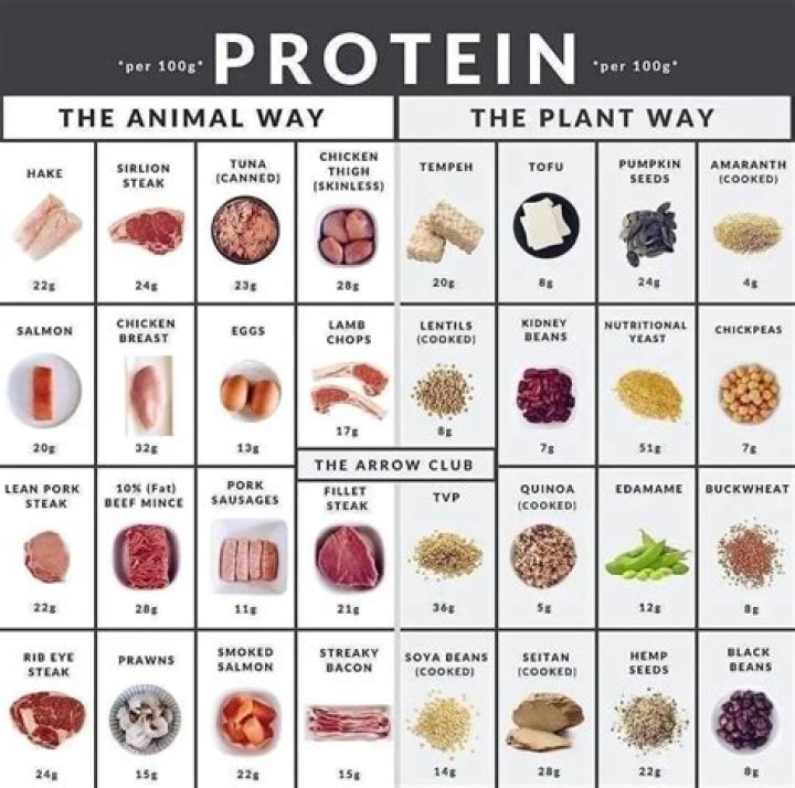 Do humans need meat protein