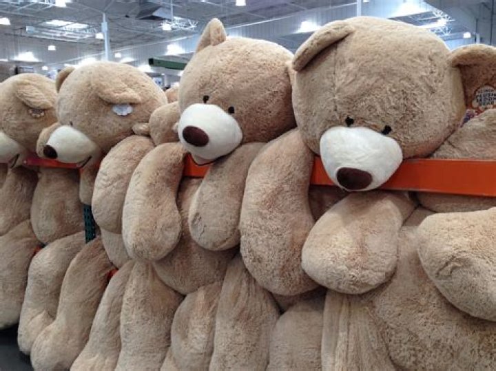 Does Costco have big teddy bears
