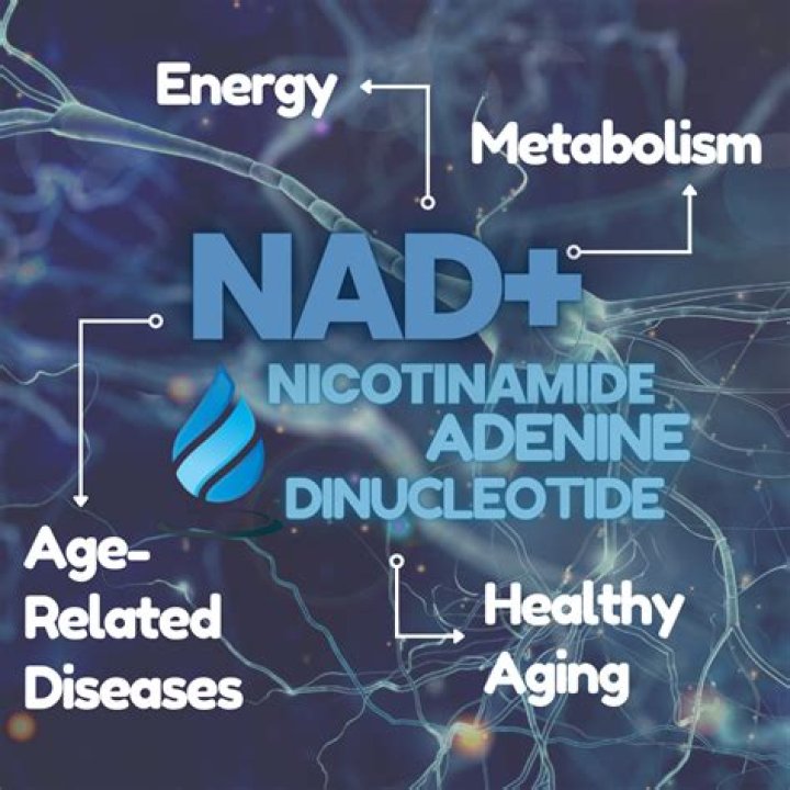 Does niacin increase NAD levels