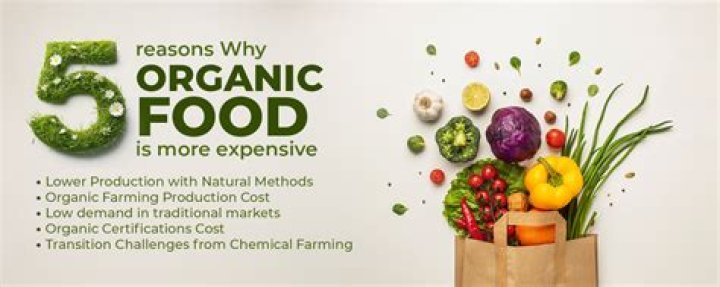 Does organic food really make a difference
