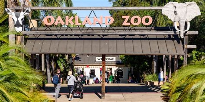 Does the Oakland Zoo have rides