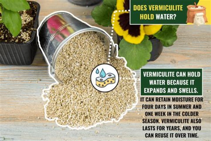 Does vermiculite hold water