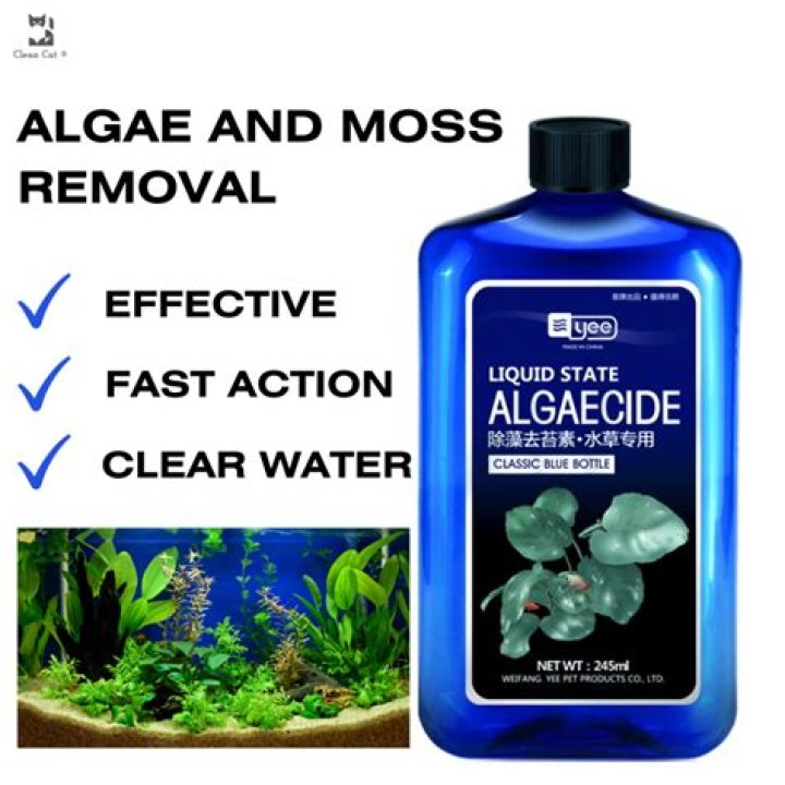 Fish Safe Algaecide - How To Discuss