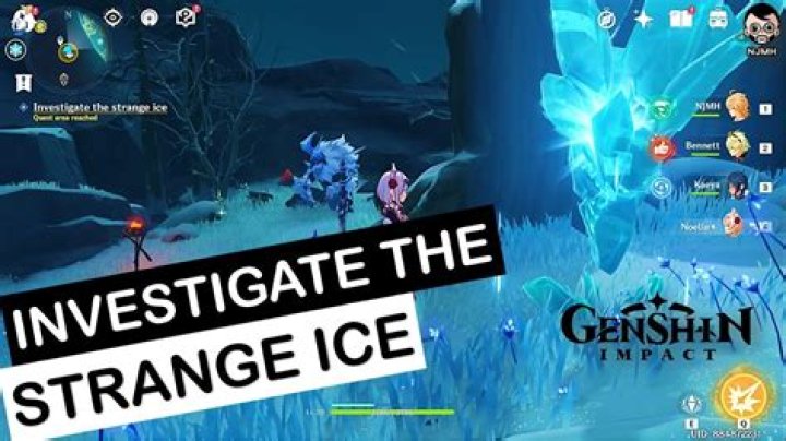 Genshin impact investigate the strange ice