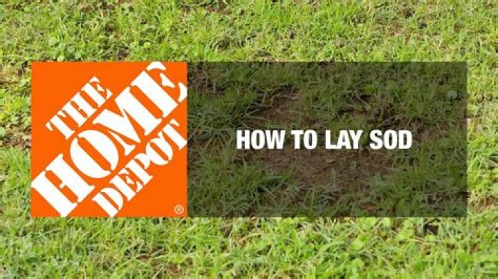 Home Depot Sod - How To Discuss