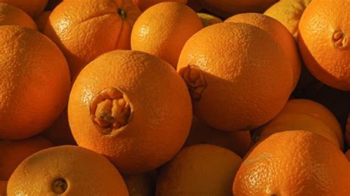 How are halo oranges grown