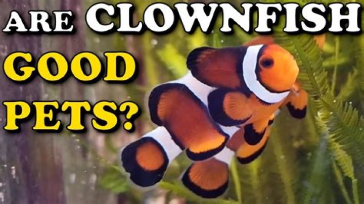 How can I have a cool life