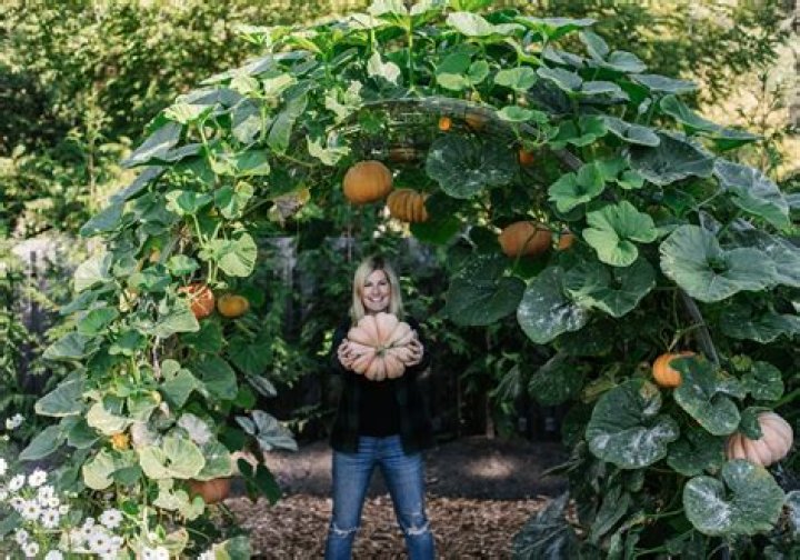 How can I make my pumpkins grow bigger