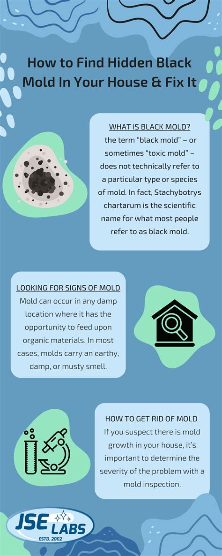 How can you tell if you have black mold in your house