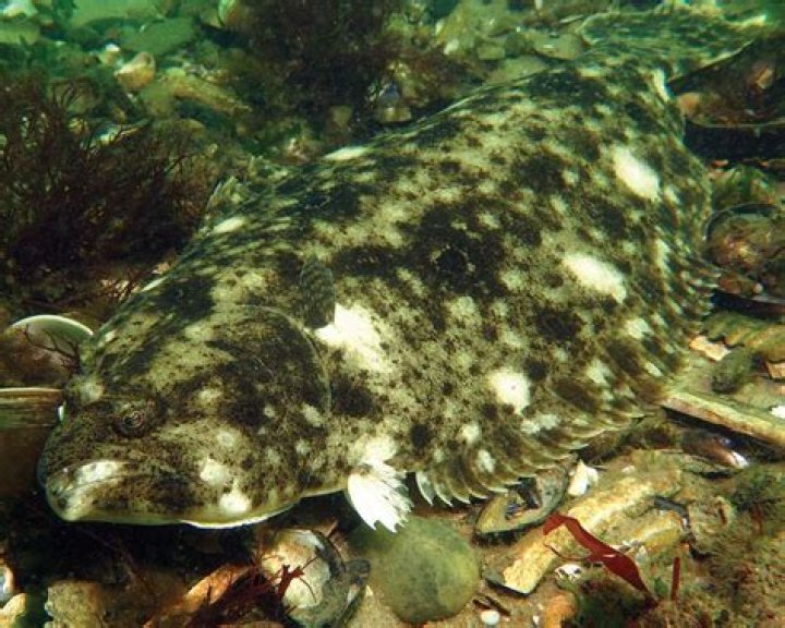 How can you tell what year an RV is?