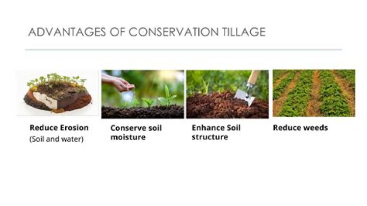 How do conservation tillage practices in agriculture benefit the soil quizlet