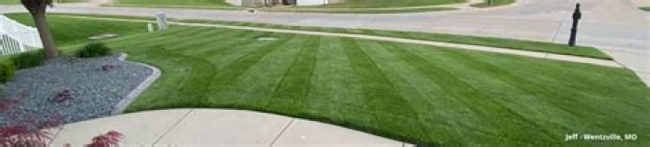 How do I apply milorganite to my lawn