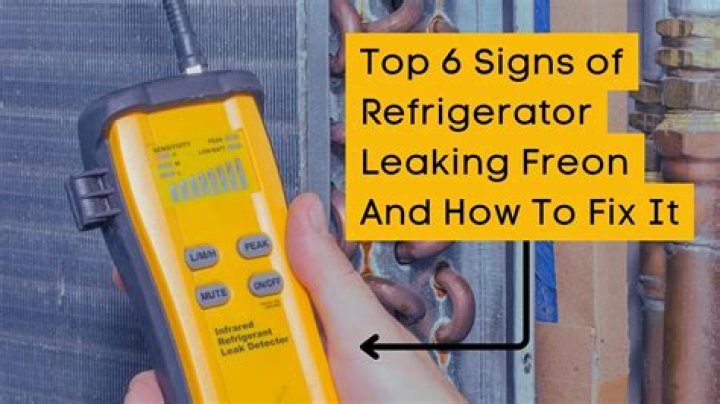 How do I fix an ammonia leak in my refrigerator?