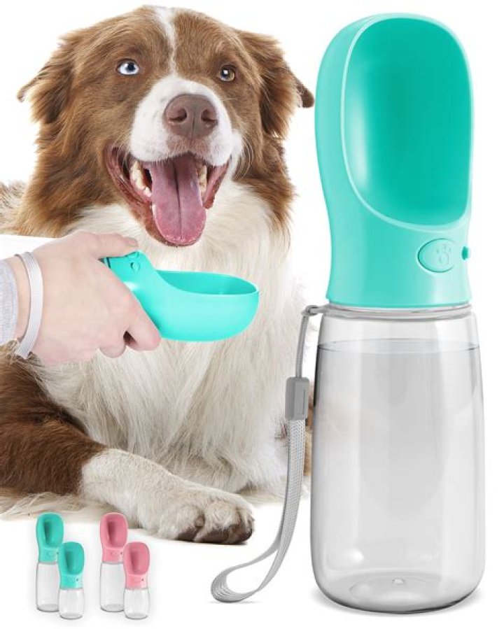 How do I keep my dogs water cool outside