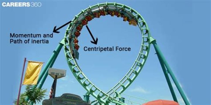 How do Newtons laws apply to a roller coaster