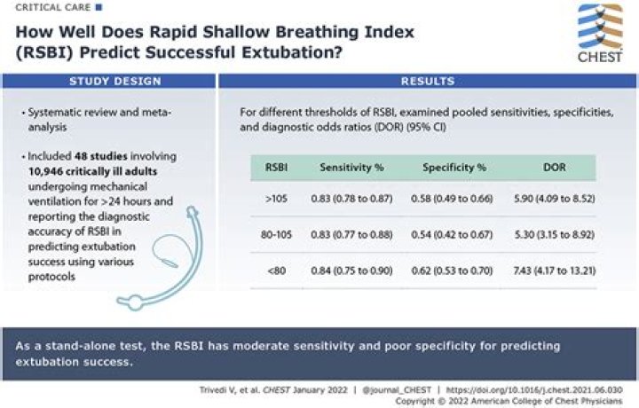 How do you calculate rapid shallow breathing index