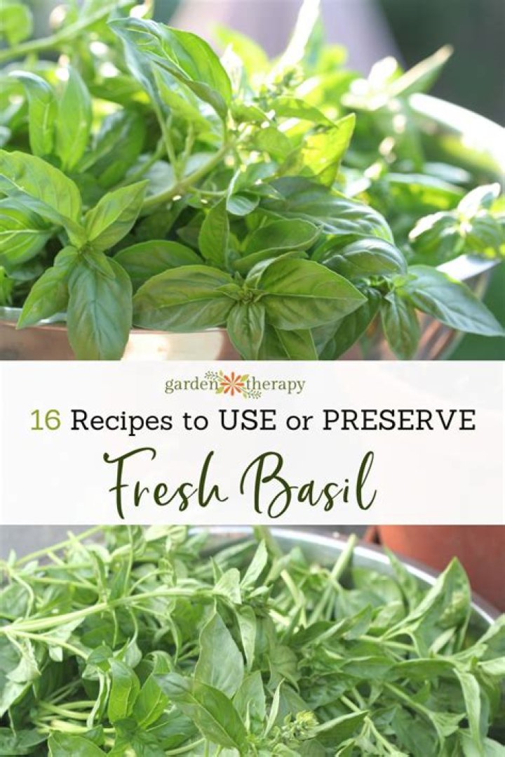 How do you cook basil leaves