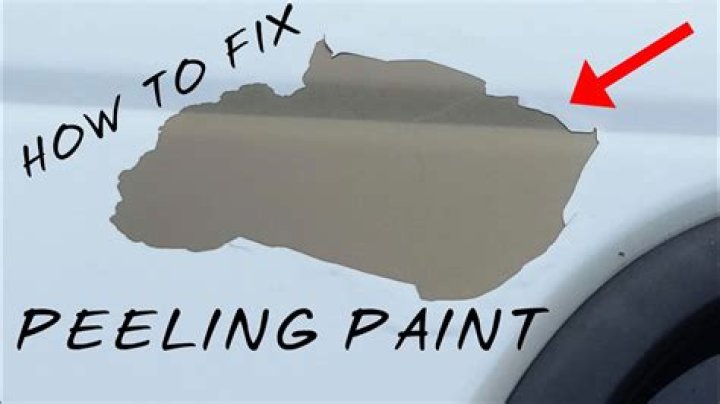How do you get mold spores off car paint