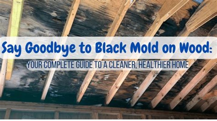 How do you get rid of black mold on wood ceiling