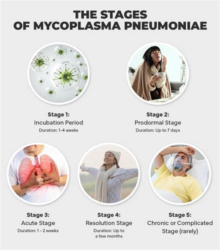 How do you identify Mycoplasma pneumoniae
