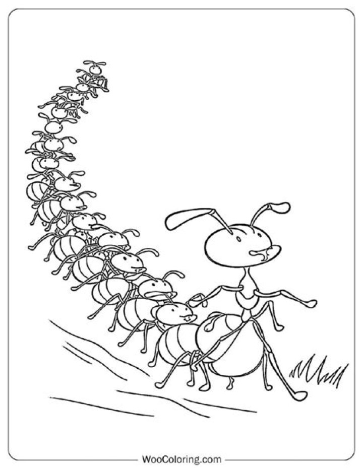 How do you kill a lot of ants at once