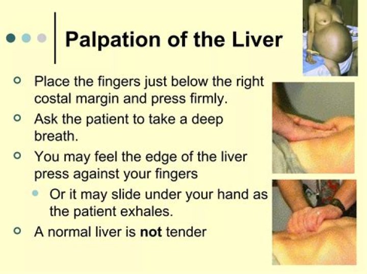 How do you palpate the liver