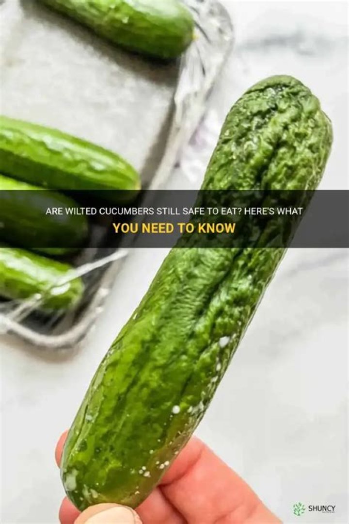 How do you revive wilted cucumbers