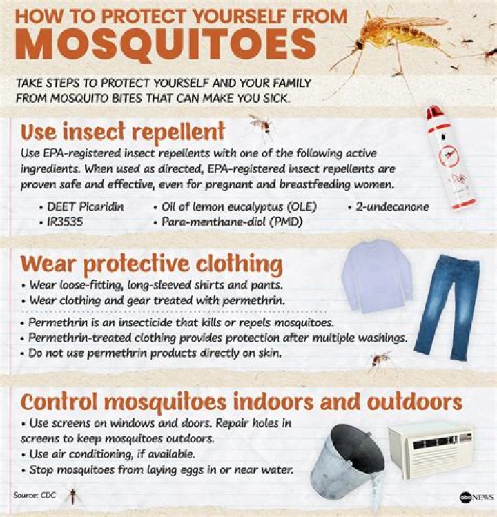 How do you stop mosquitoes from propagating